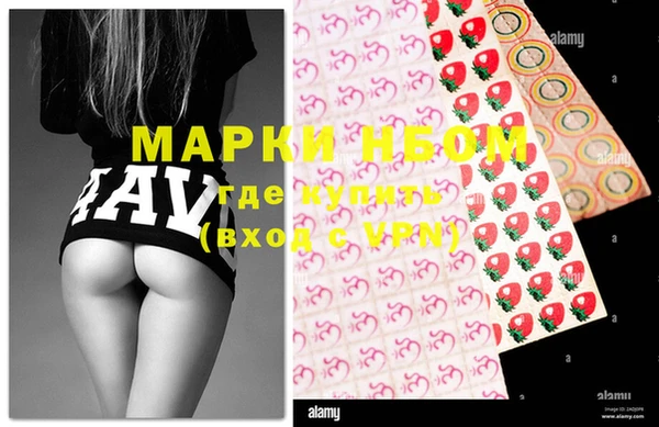 хмурый Алзамай