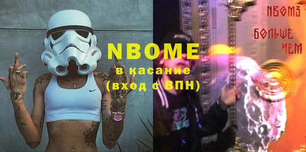 хмурый Алзамай