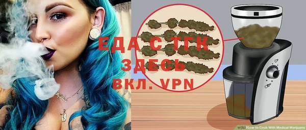 хмурый Алзамай
