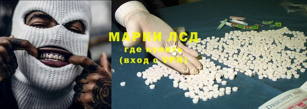 хмурый Алзамай