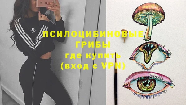 дмт Алексеевка
