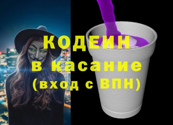 хмурый Алзамай