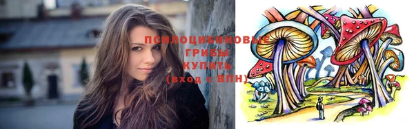 хмурый Алзамай