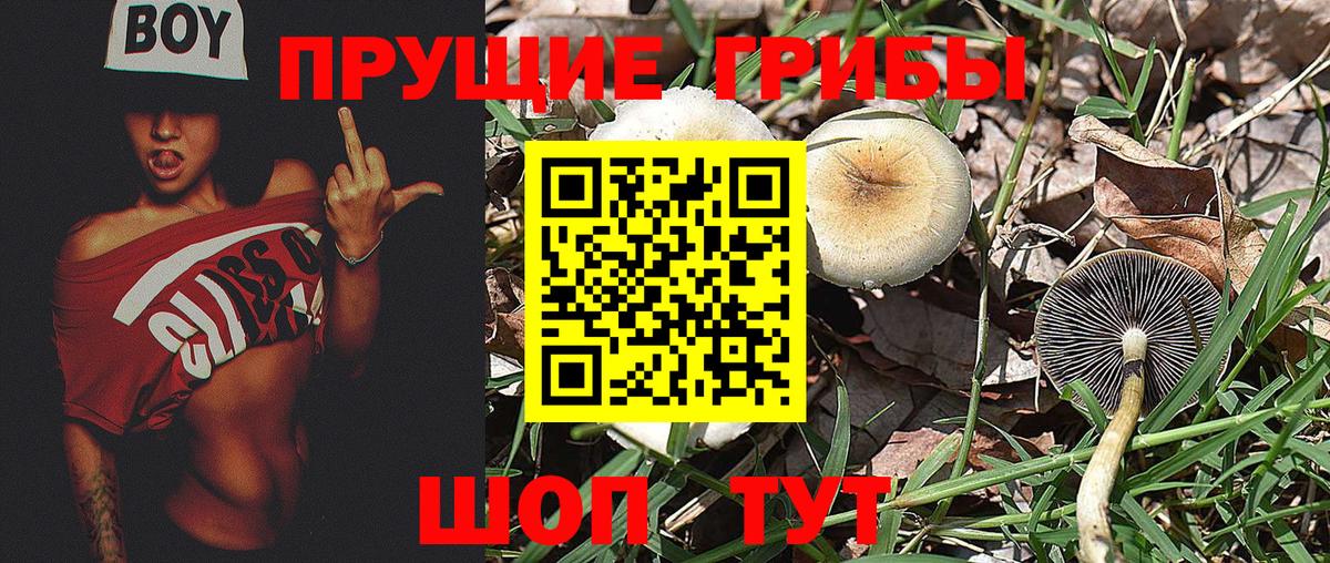 Галлюциногенные грибы Magic Shrooms  Галлюциногенные грибы ЛСД  Вход с VPN  Арзамас 